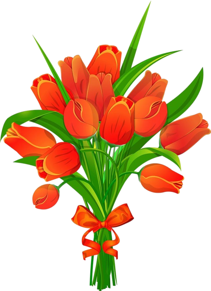 Red Tulip Flower Bouquet clipart Png