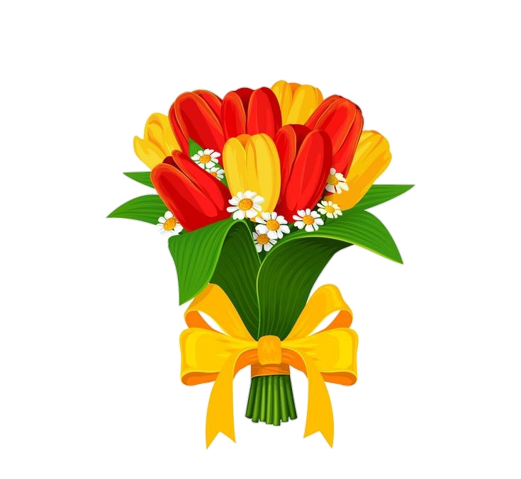 Red Yellow Tulip Flower Bouquet clipart Png