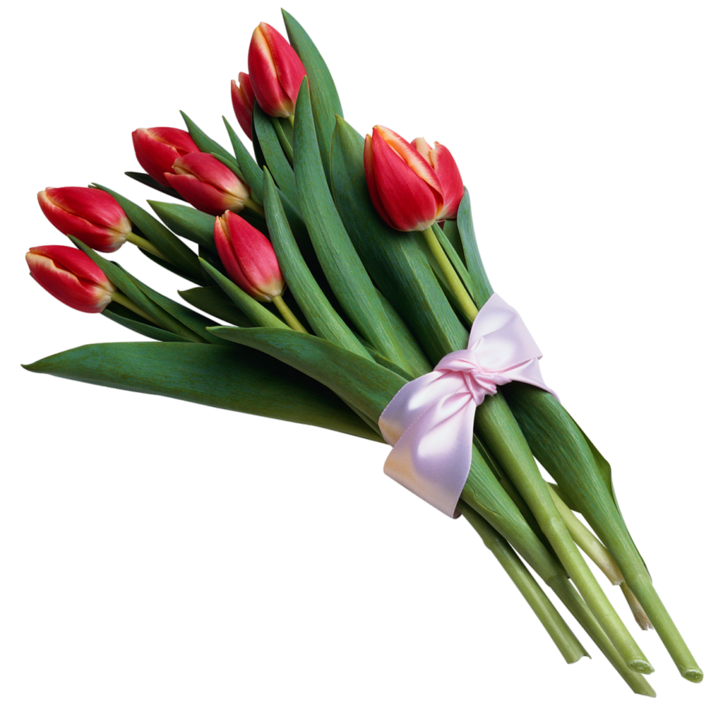 Tulip Flowers Bouquet Png