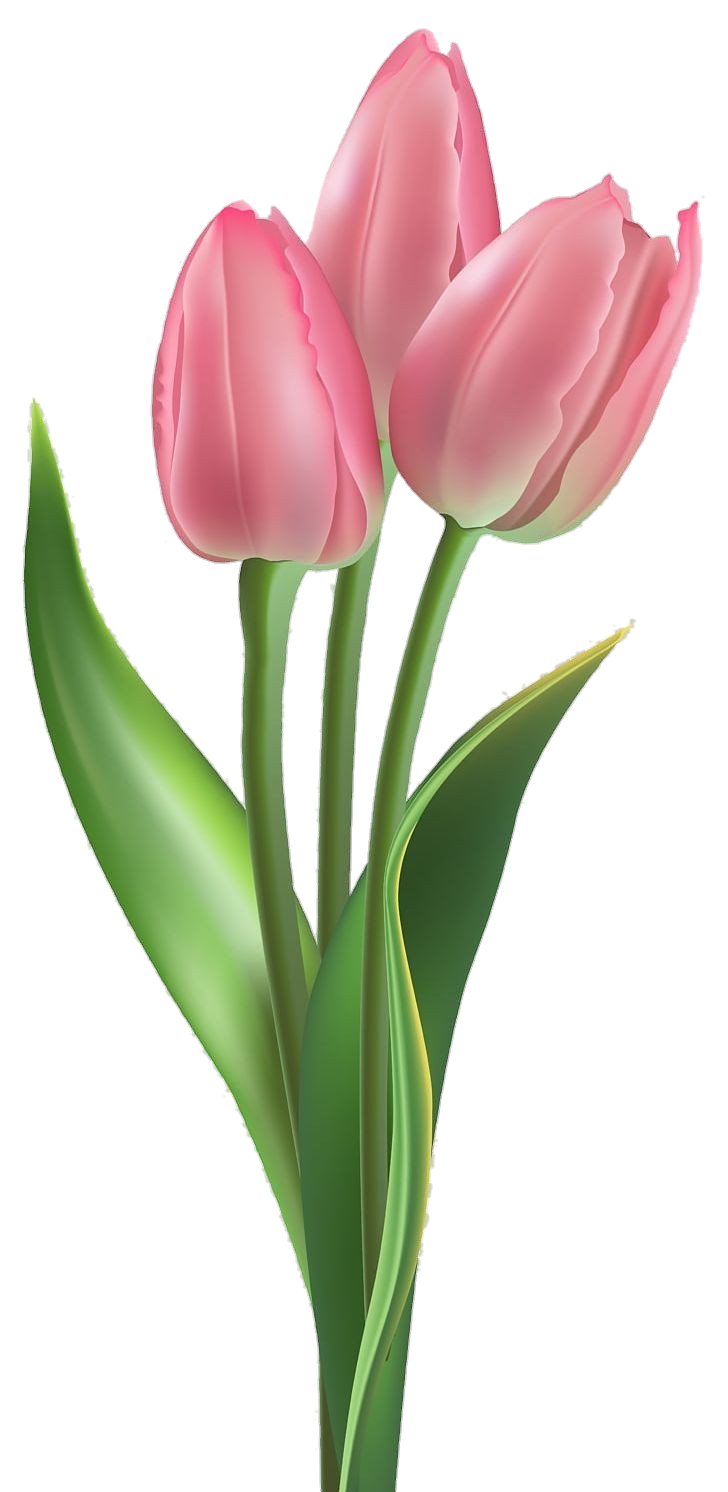 Tulip-9