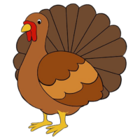 Turkey png image