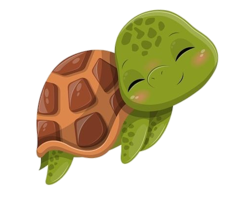 Kawaii Turtle Png