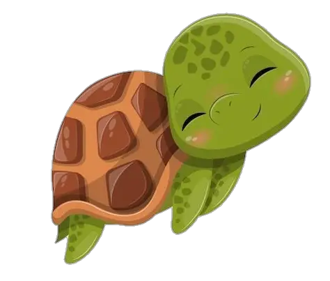 Kawaii Turtle Png