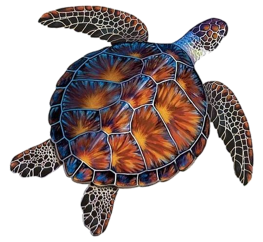 Sea Turtle Png