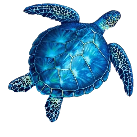 Neon Turtle Png