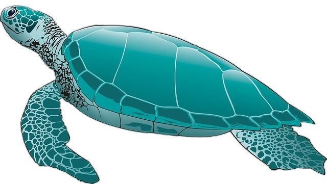 Blue Turtle Vector Png