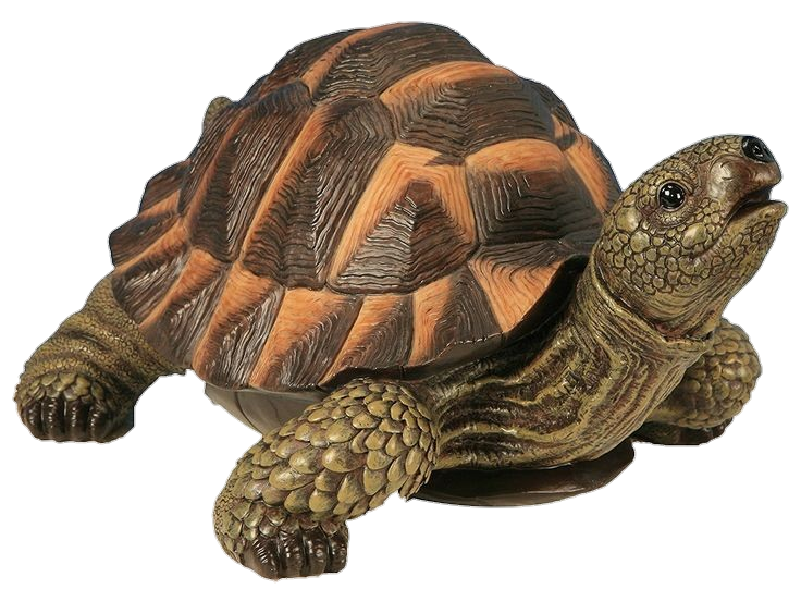 Toy Turtle Png
