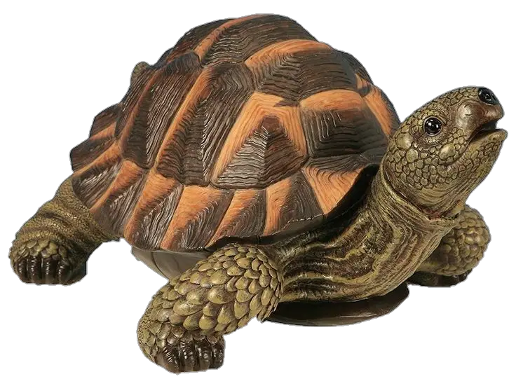 Toy Turtle Png