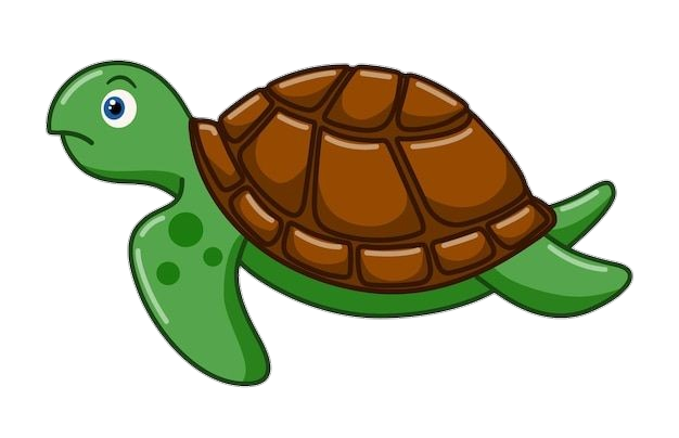 Turtle-22