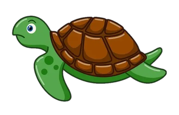 Animated Turtle Png