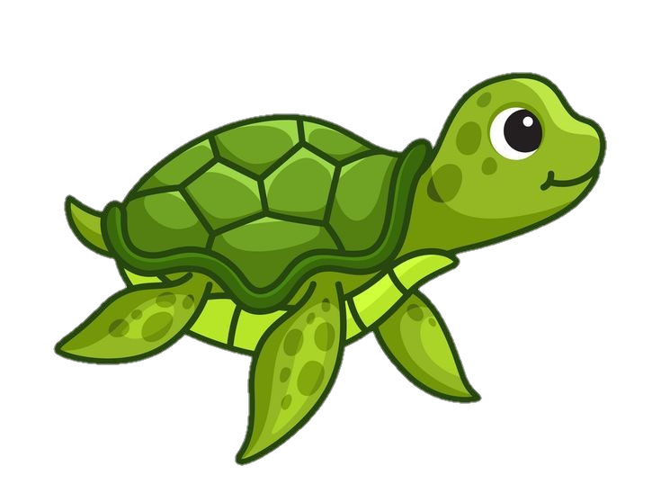 cartoon Turtle Png