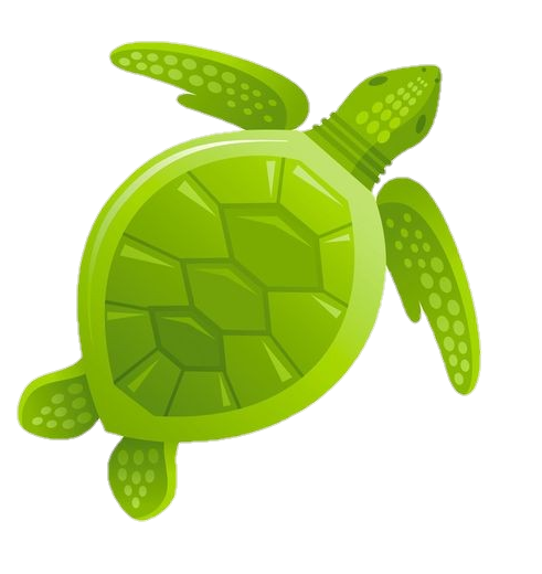 Turtle-25