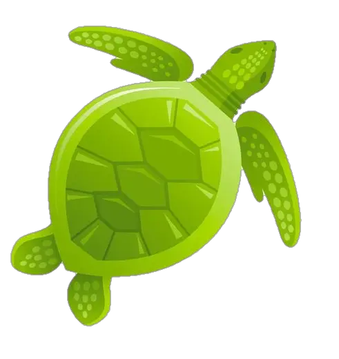 Turtle Vector Png