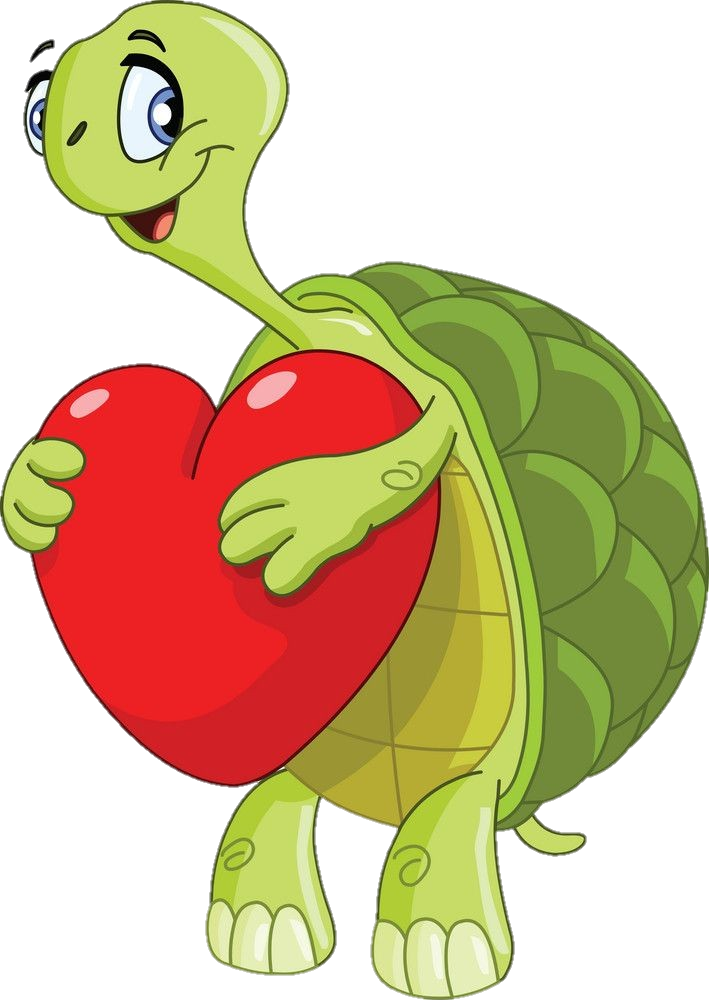 Cartoon Turtle Png