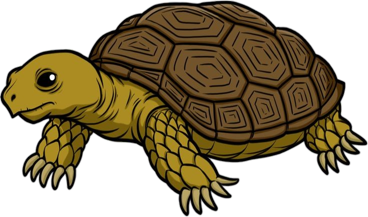 Turtle-3-1