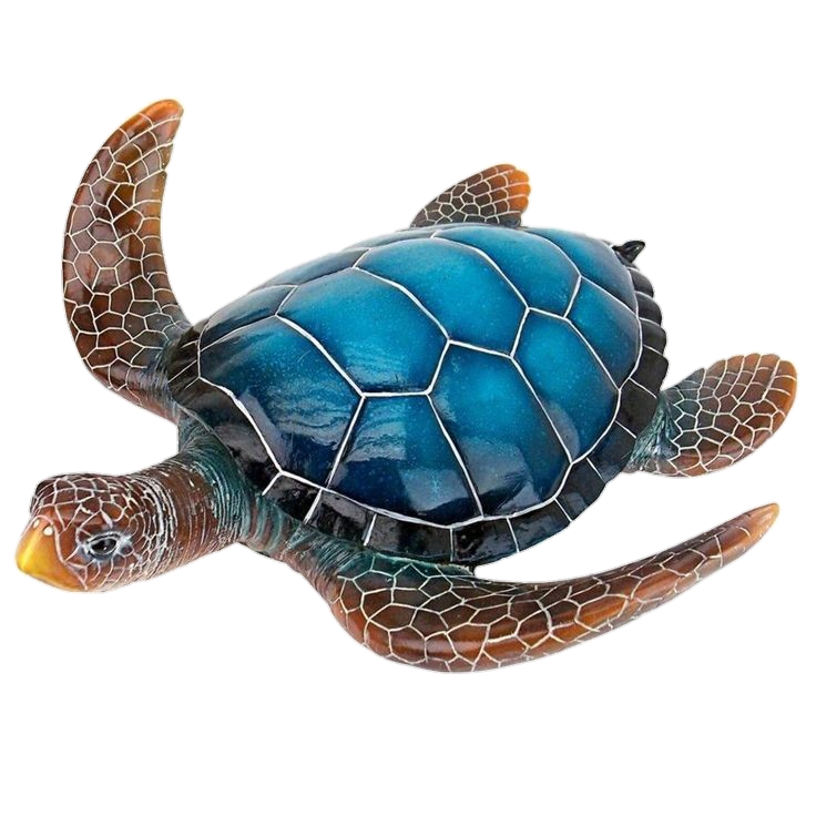 Turtle-6