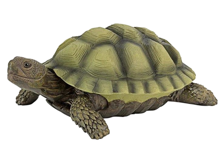 Turtle-8