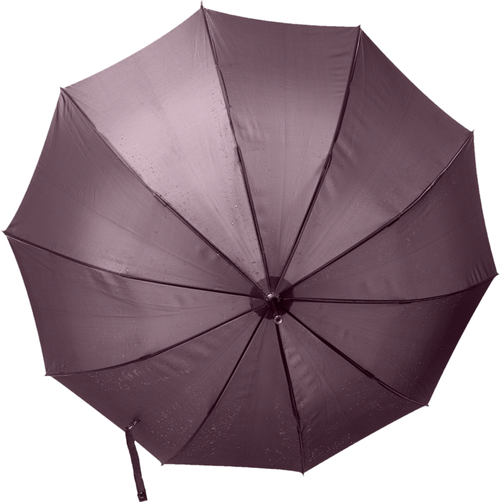 Umbrella Png Image