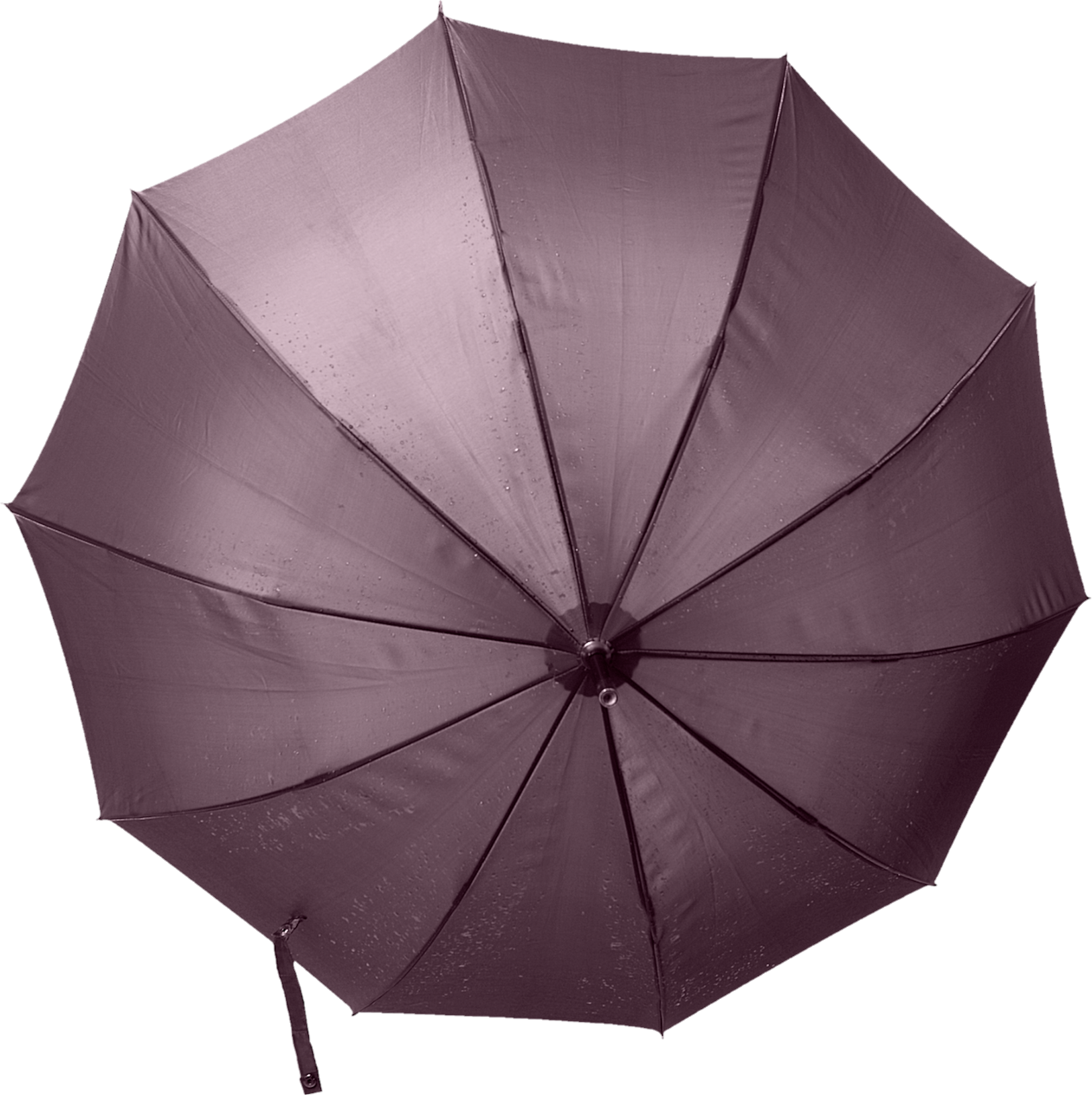 Umbrella-16