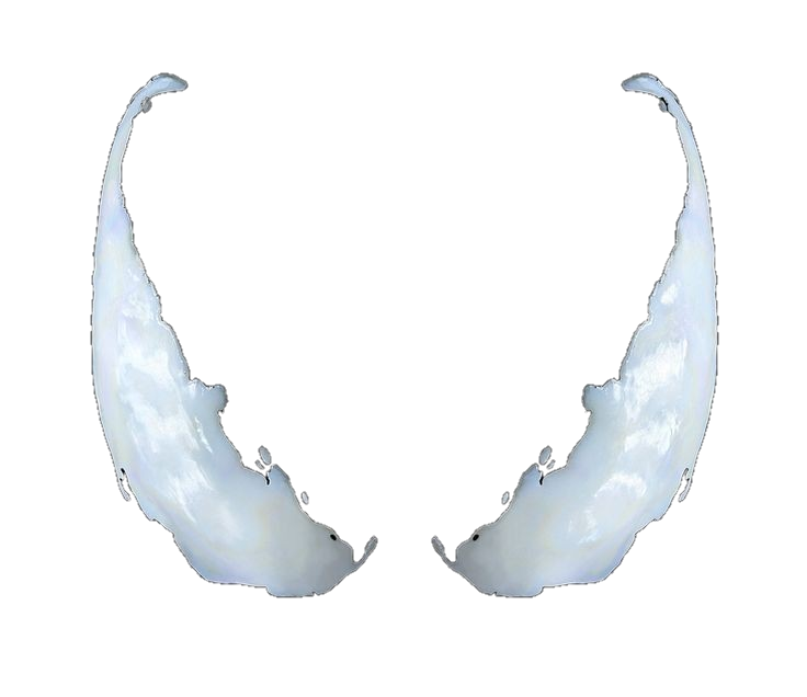Venom PNG Transparent Images Free Download - Pngfre