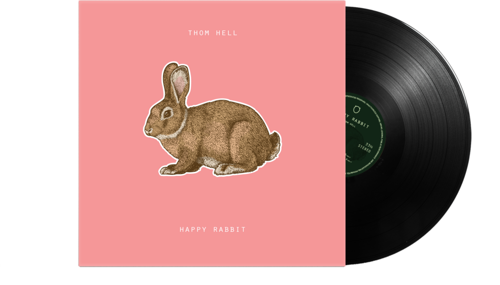 Happy Rabbit Vinyl Record Png