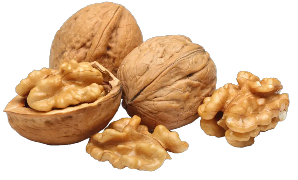 Transparent Walnut Png