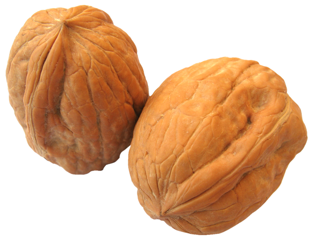 Walnut-13