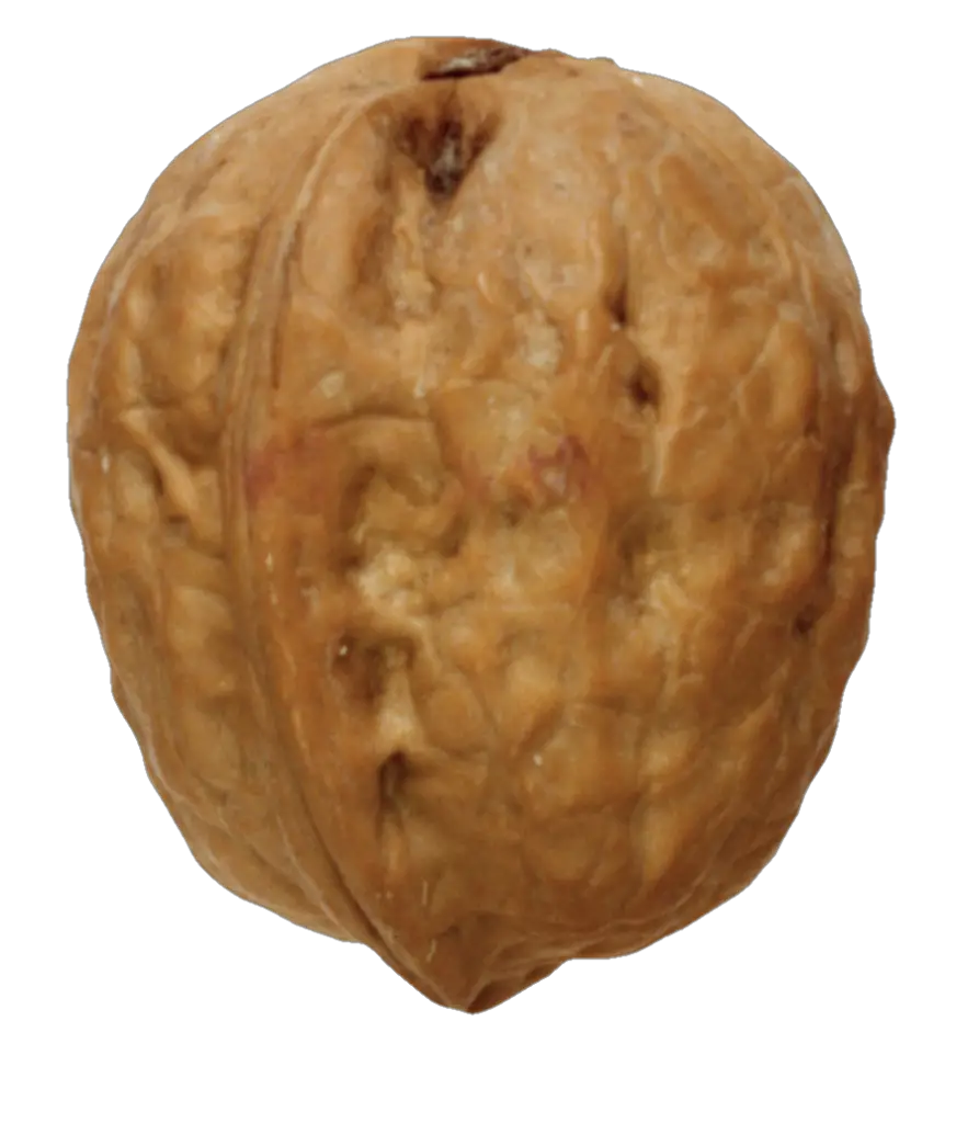 One Walnut Png