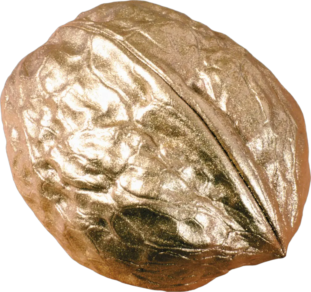 Golden Walnut Png