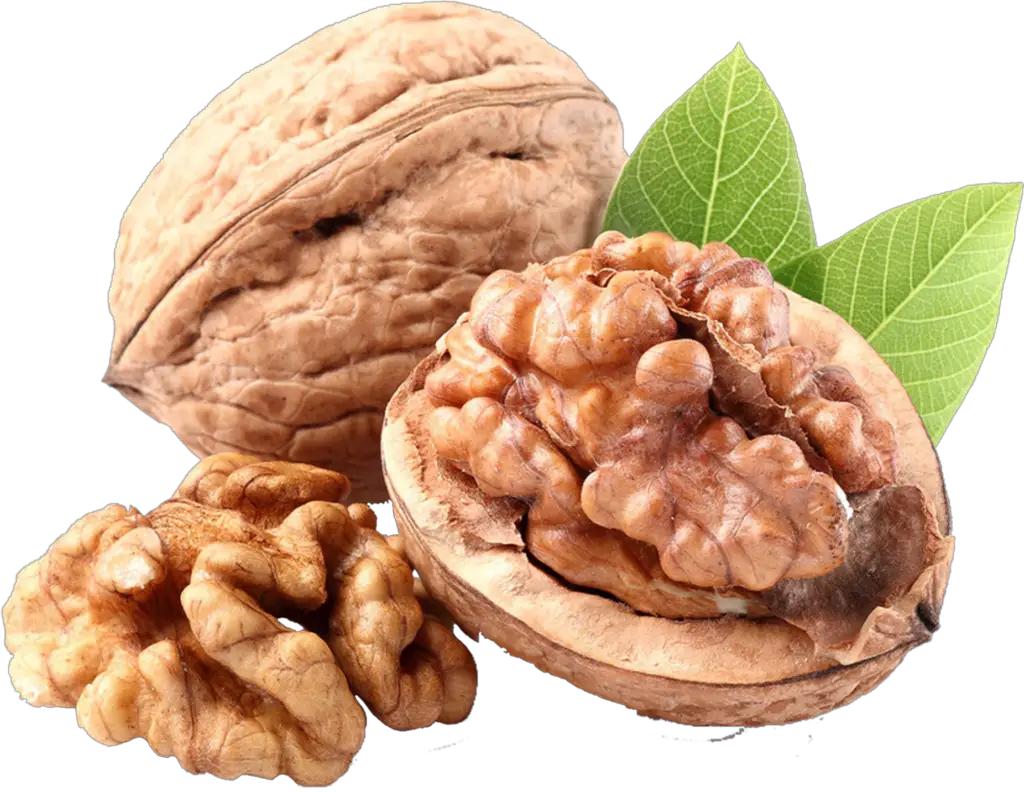 Transparent Walnut Png