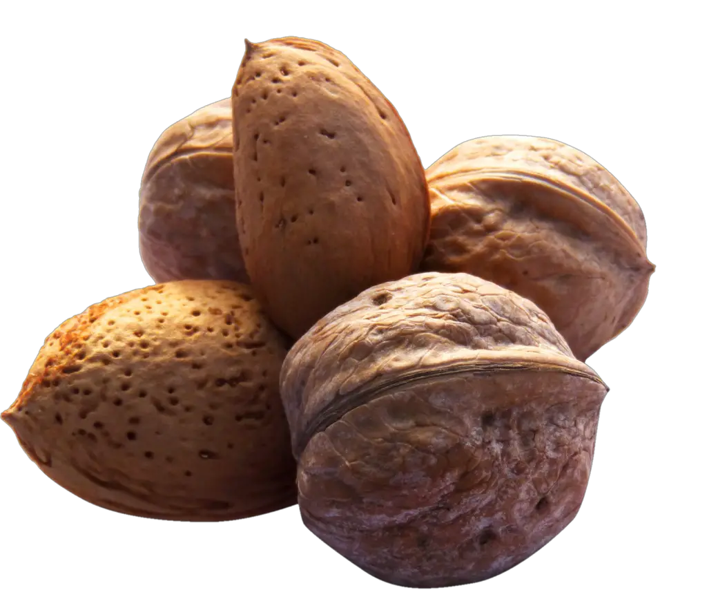 Transparent Walnut Png