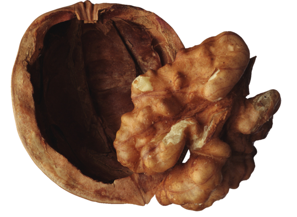 Cracked Walnut Png