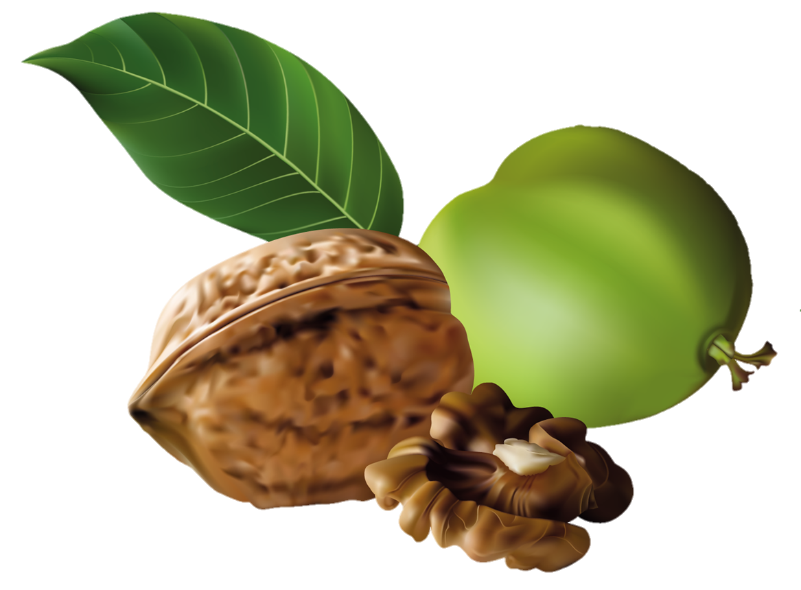 Walnut-8