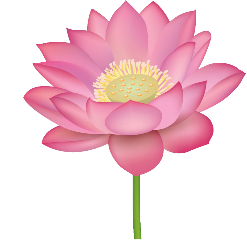 Water Lily clipart PNG