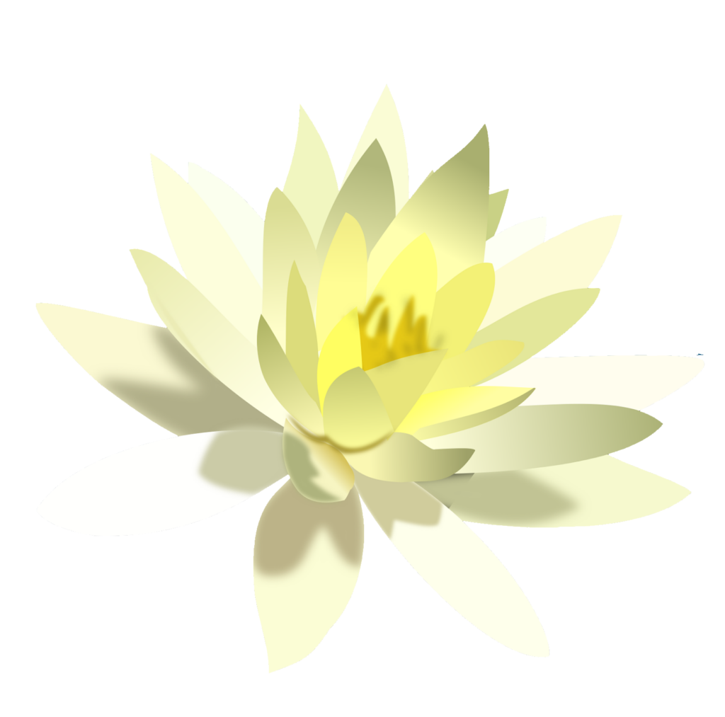 Golden Water Lily vector PNG