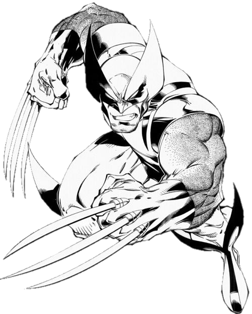 Wolverine Sketch PNG