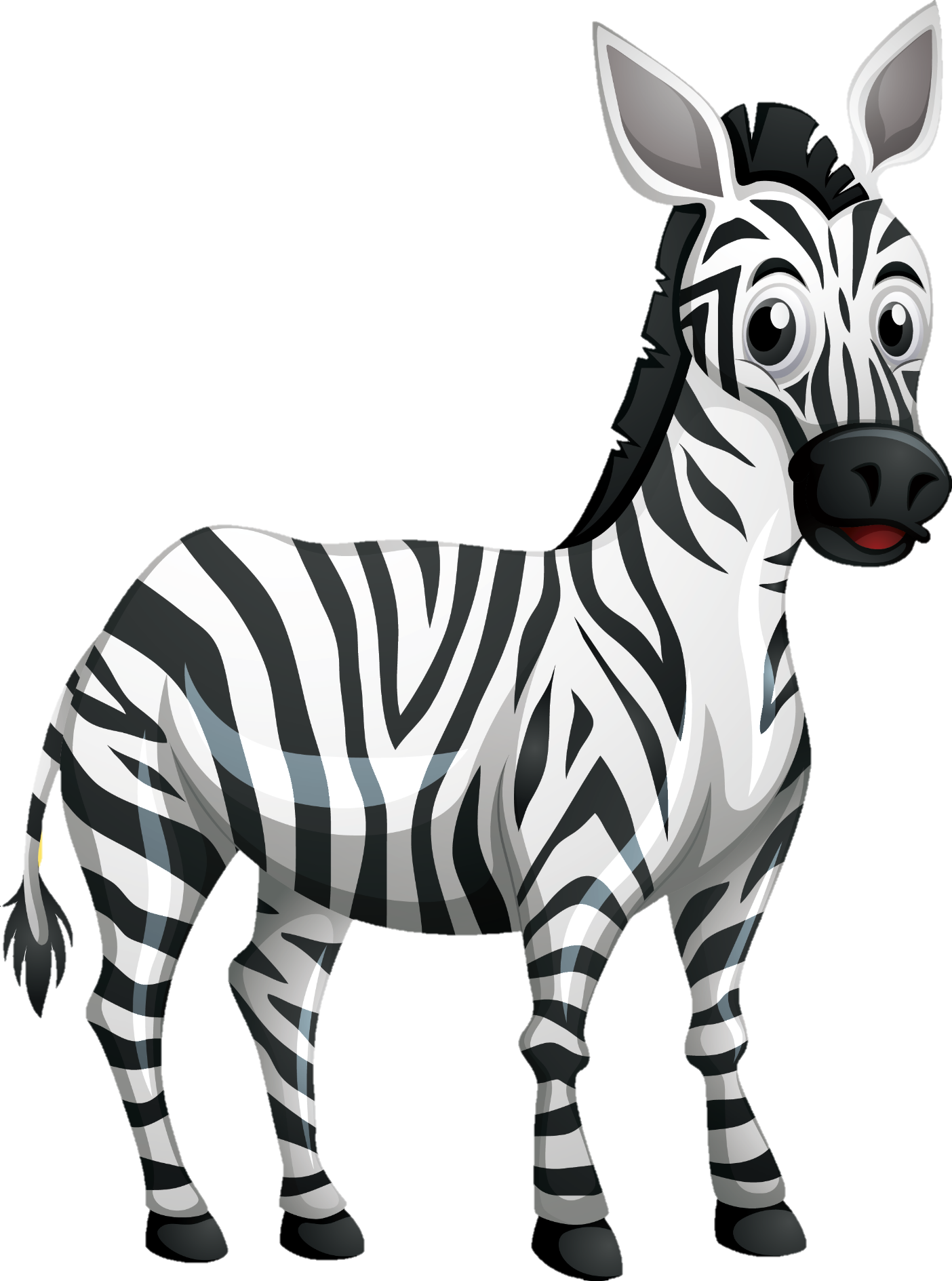 Zebra-13