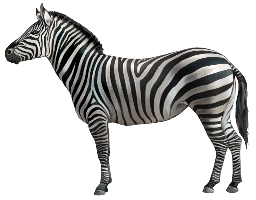 Animated Zebra Png