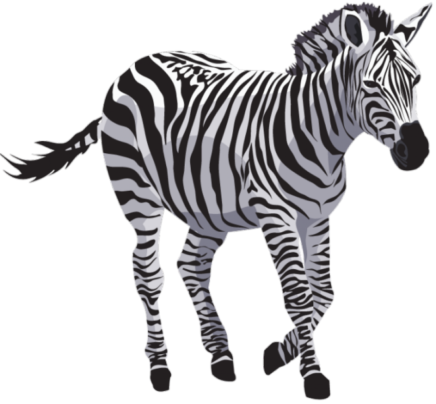Zebra-18