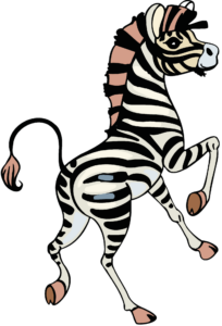 Zebra Drawing Png