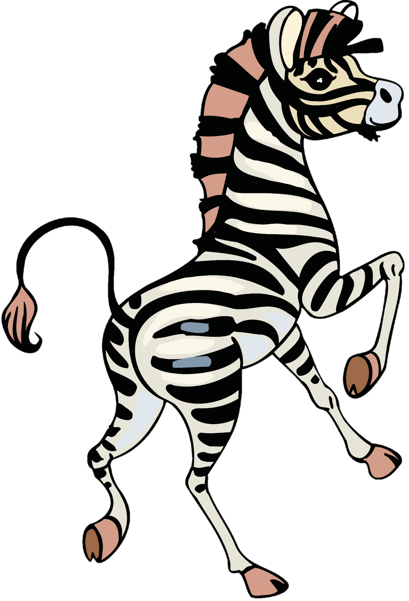 Zebra-4
