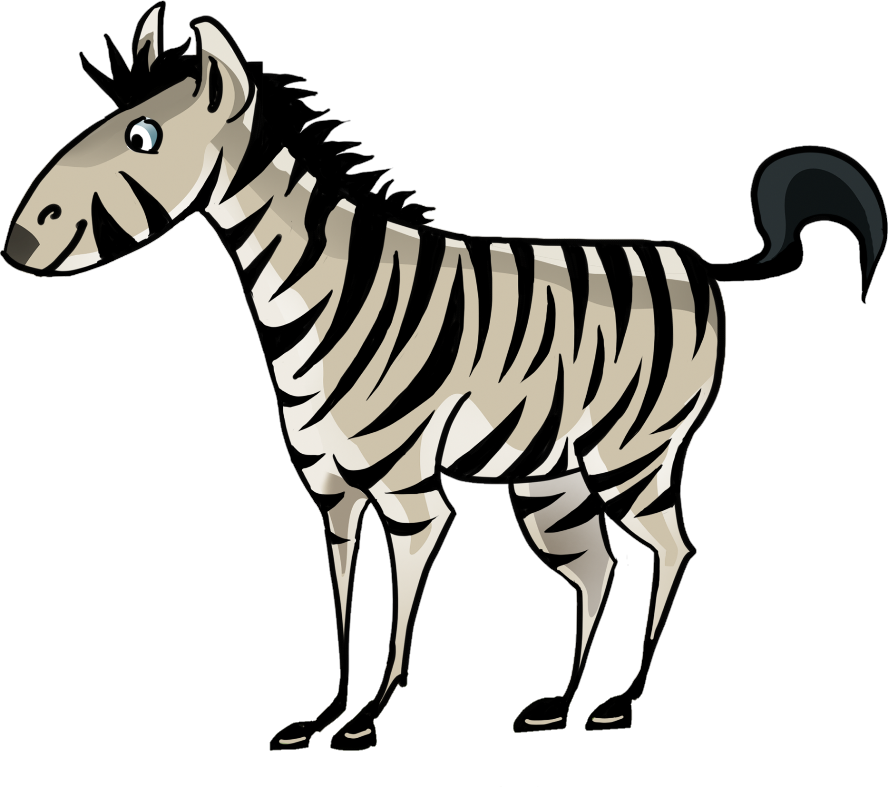 Zebra-7