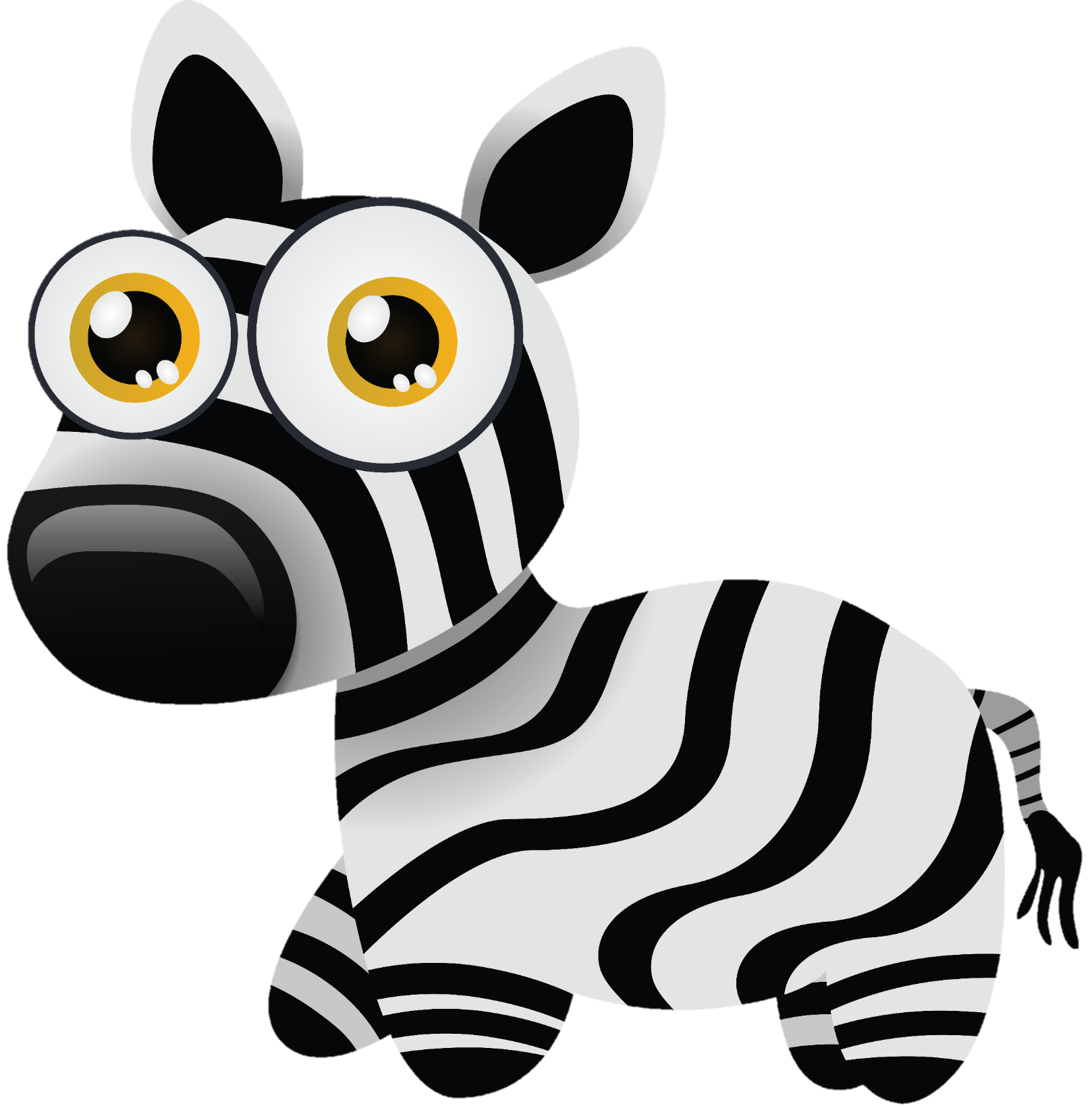 Zebra-9