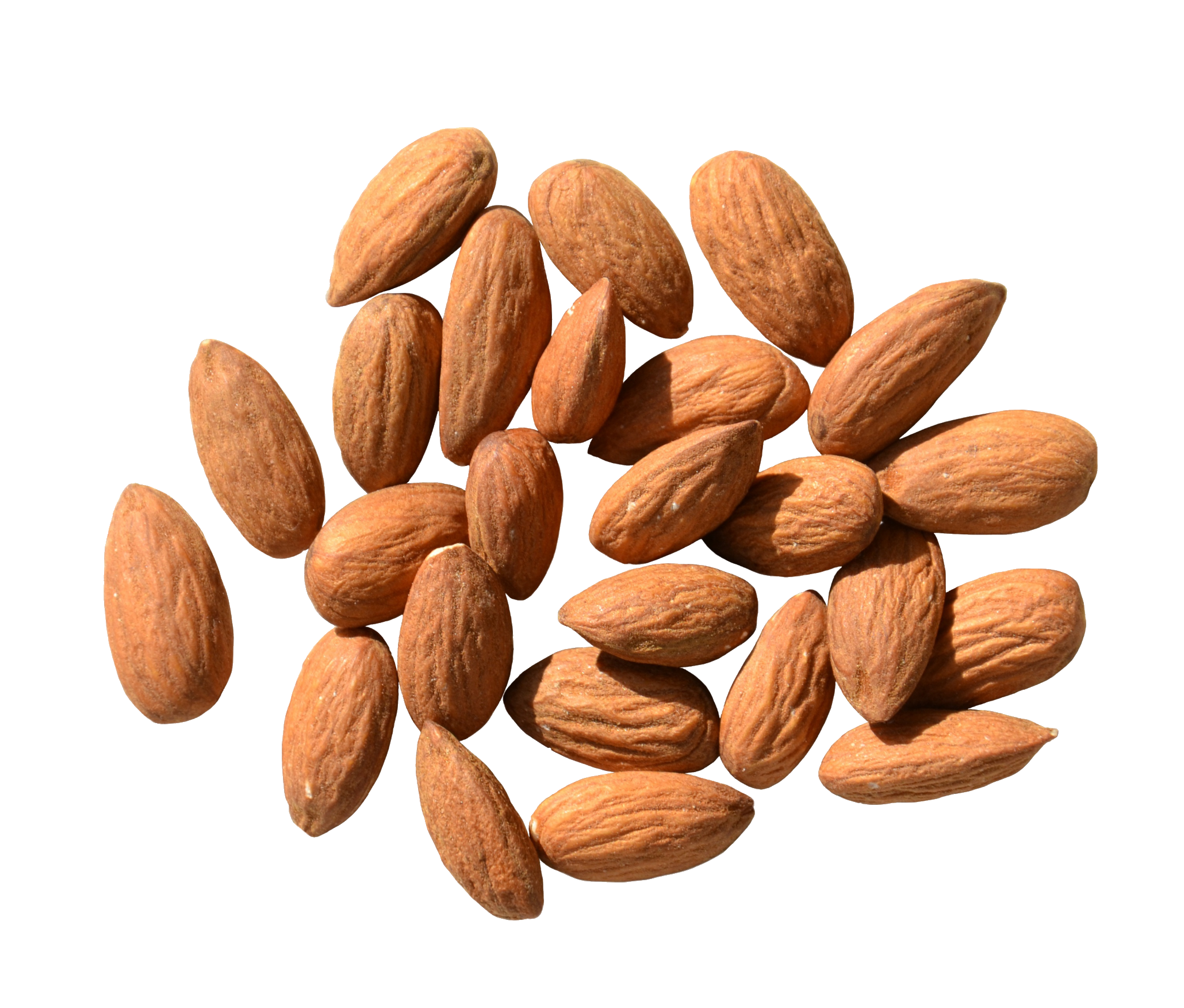 almond-1