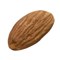 Almond Png Image