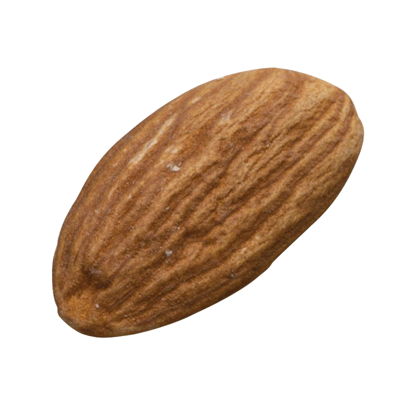 One Almond Png
