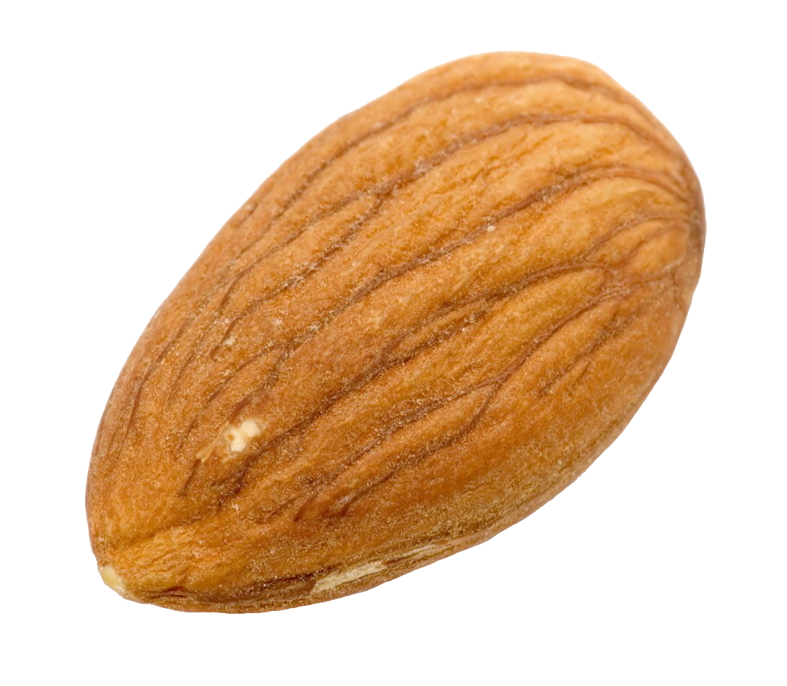 almond-13