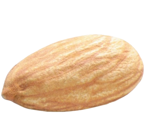 almond-14