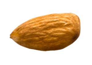 almond-17