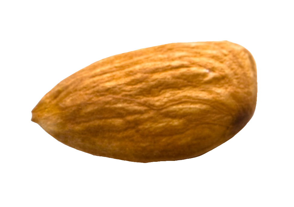 Single Almond Png